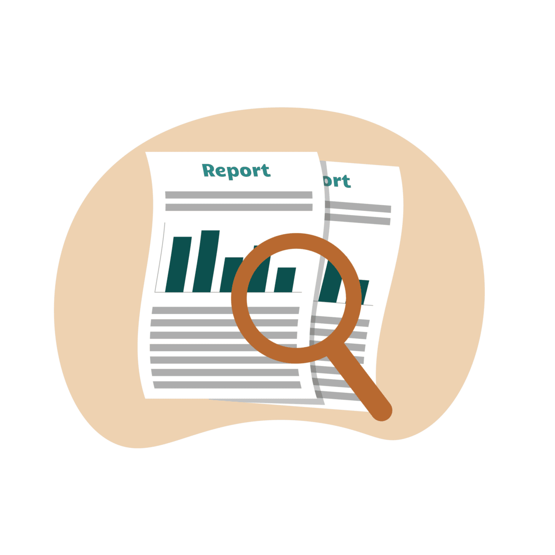 audit opinions